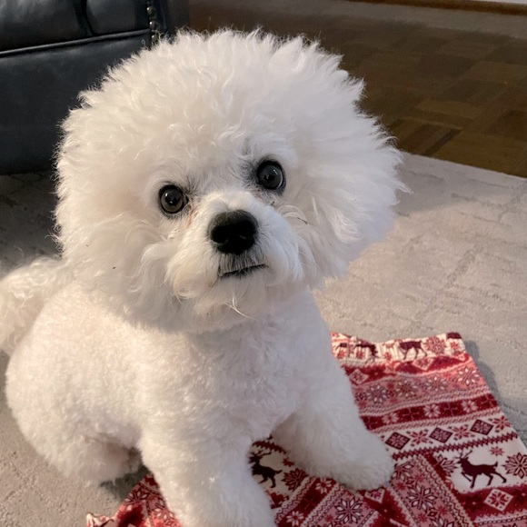 Meet your Posher, Heather - Picture 1 of 1